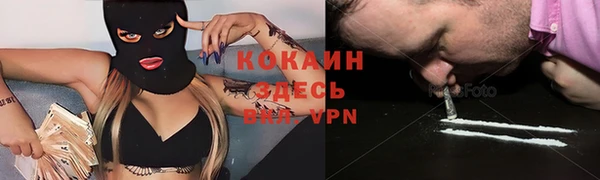 спайс Беломорск